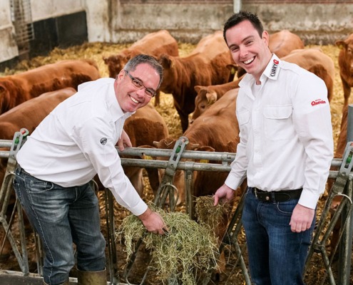 Zwei fröhliche Männer in weißen Hemden mit der Aufschrift (CurryQ und Metzgerei Quartier - Daniel und Lothar Quartier, Inhaber der Metzgerei Quartier) vor verschiedenen braunen Rindern im Stall