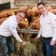 Zwei fröhliche Männer in weißen Hemden mit der Aufschrift (CurryQ und Metzgerei Quartier - Daniel und Lothar Quartier, Inhaber der Metzgerei Quartier) vor verschiedenen braunen Rindern im Stall