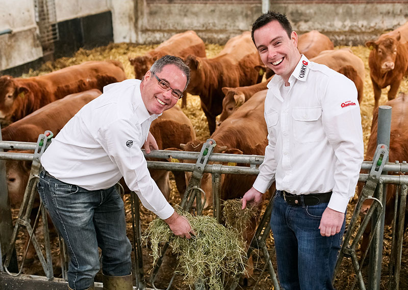 Zwei fröhliche Männer in weißen Hemden mit der Aufschrift (CurryQ und Metzgerei Quartier - Daniel und Lothar Quartier, Inhaber der Metzgerei Quartier) vor verschiedenen braunen Rindern im Stall