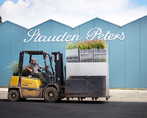 Außenansicht der Firma Stauden Peters mit Staplerfahrer davor, der Gräser transportiert