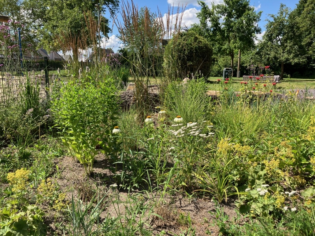 Beet mit vielen bunten Pflanzen und Gräsern im Klostergarten Kranenburg